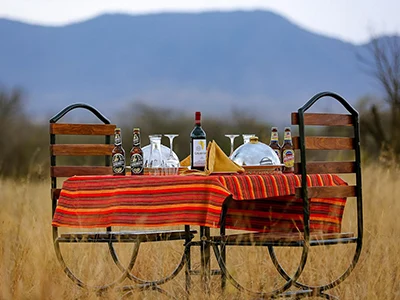 Sound of Nature Camp suite in the Serengeti