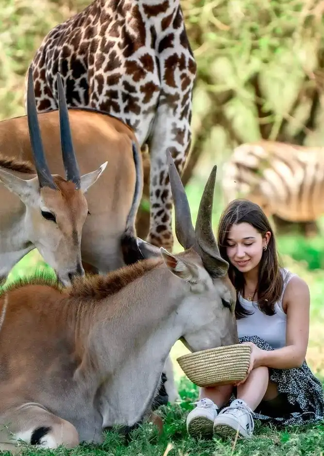 Why Choose Us - Tanzania Safari